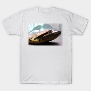 Green Anaconda T-Shirt